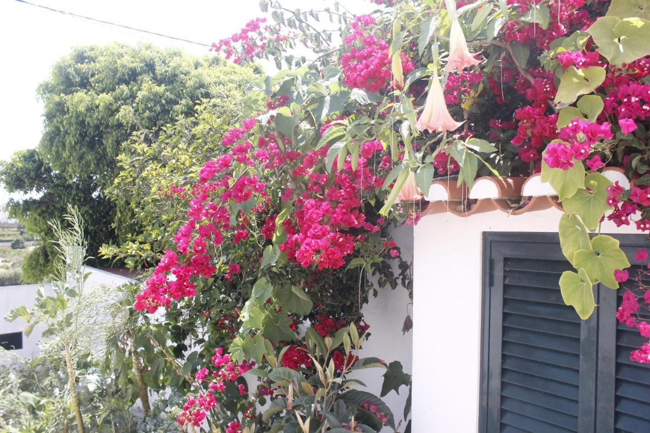 Villa Casinha Da Andorinha - Ericeira Extérieur photo
